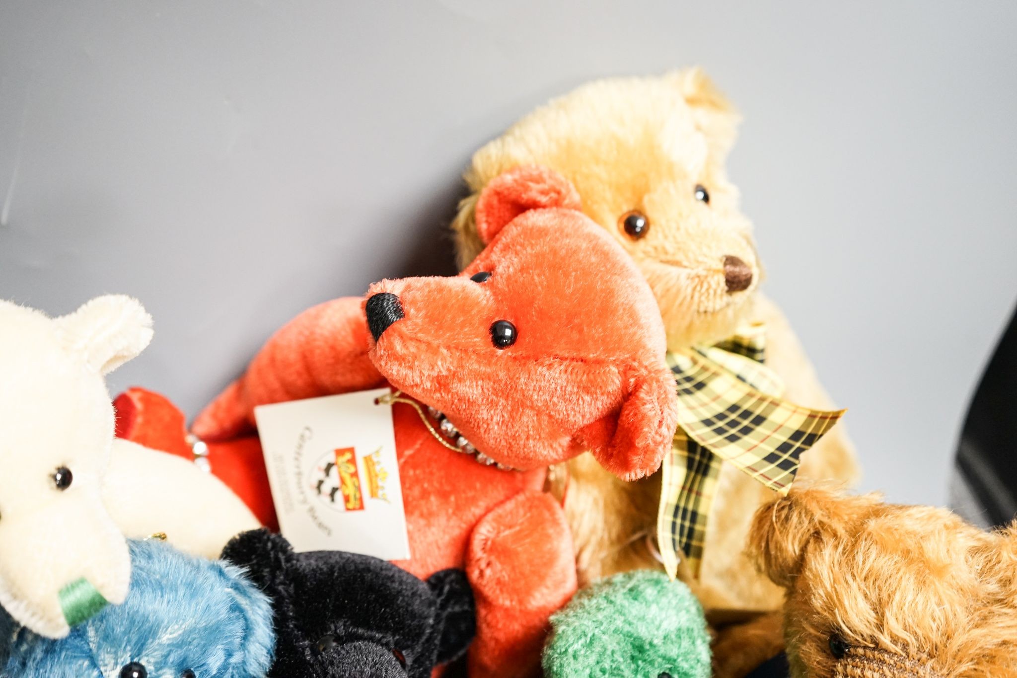 Seven Canterbury Bears